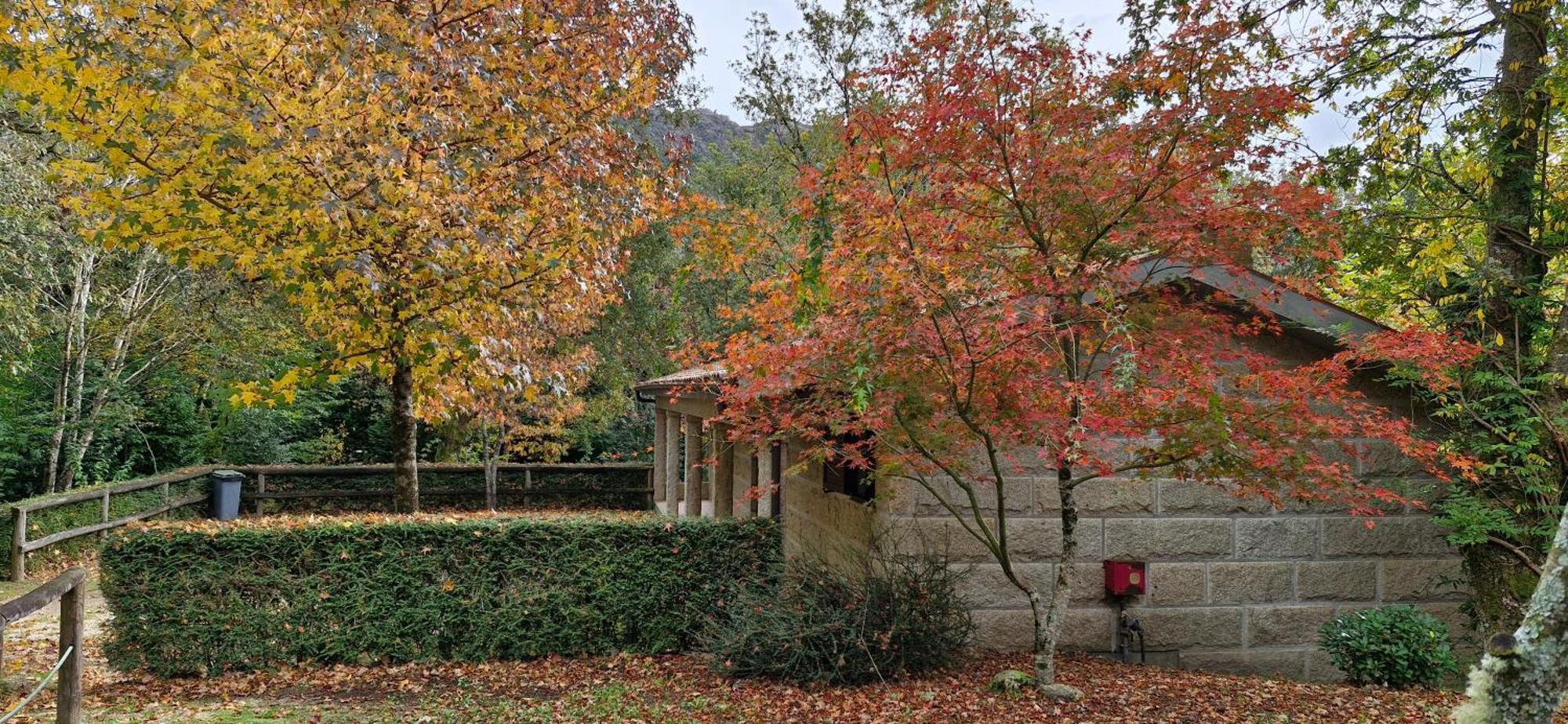 Bungalows - Serra Do Geres Campo do Geres Exterior foto