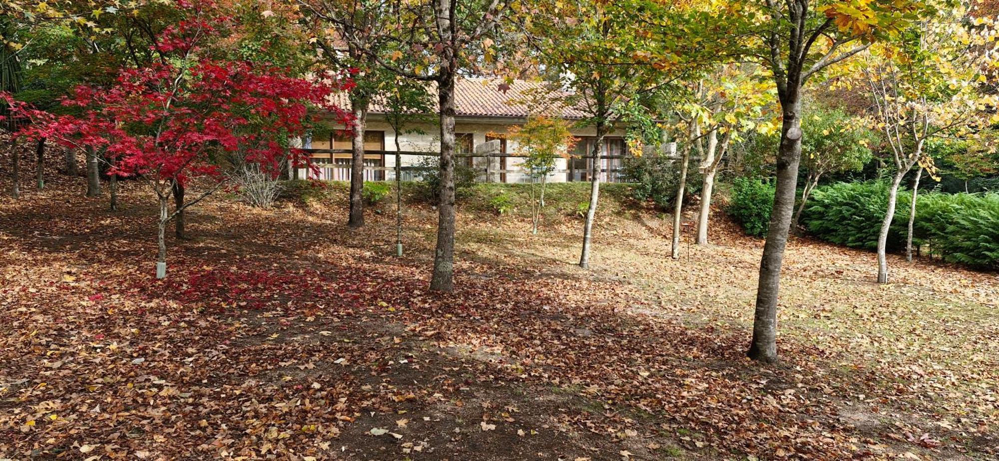 Bungalows - Serra Do Geres Campo do Geres Exterior foto